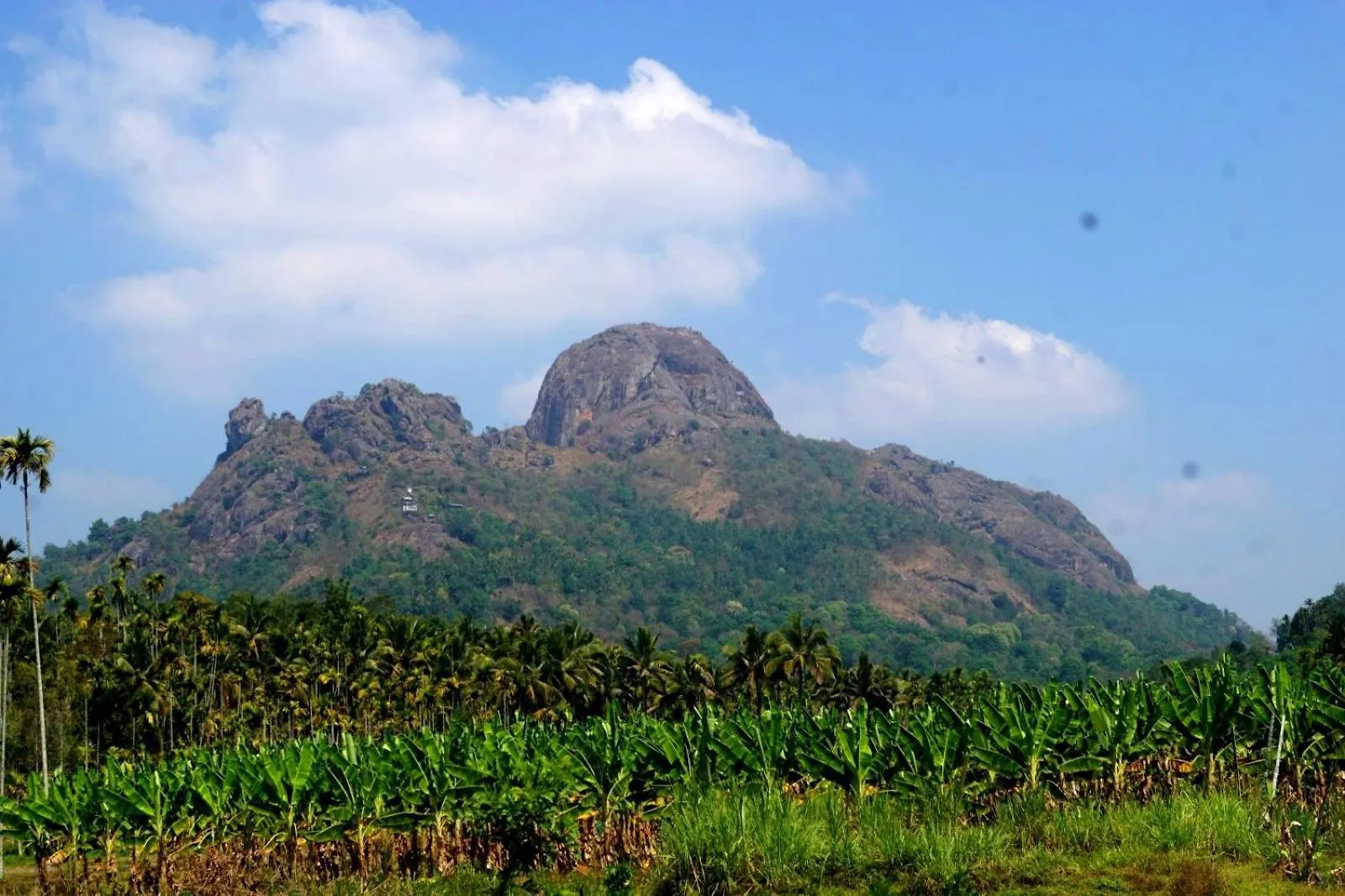 Vihaara Wayanad Serviced Villa Ambalavayal